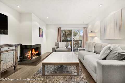 205 E Durant Avenue, Aspen, CO 81611