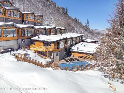 809 S Aspen Street, Aspen, CO 81611