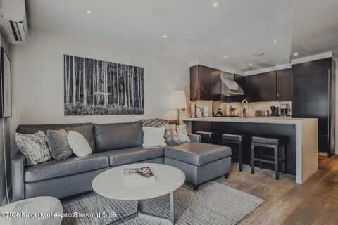 124 E DURANT Avenue, Aspen, CO 81611