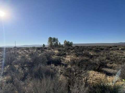 Pinion Lane, Christmas Valley, OR 97641