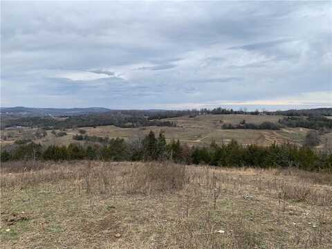 001-04204-000 MC 6016, Yellville, AR 72687