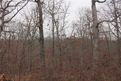 TBD Cromarty DR, Bella Vista, AR 72715