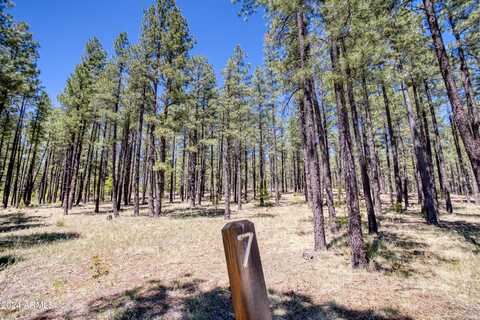 9586 SIERRA SPRINGS Way, Pinetop, AZ 85935
