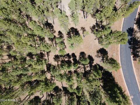 9586 SIERRA SPRINGS Way, Pinetop, AZ 85935