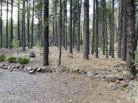 17680 S MORMON Road, Munds Park, AZ 86017