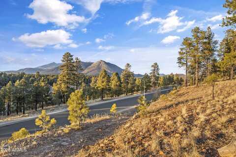 862 N Amberwood Street, Flagstaff, AZ 86004