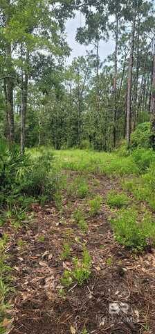 0 Anniston Avenue, Elberta, AL 36530