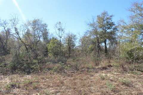 0 Dumont Avenue, Chipley, FL 32428