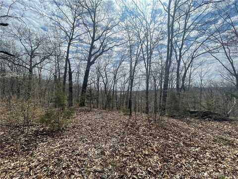 Bluffview DR, Camdenton, MO 65020