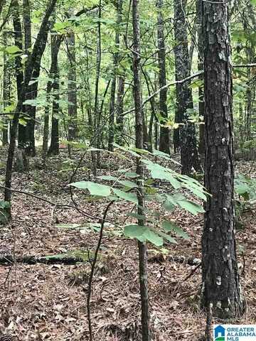 LAKESIDE LANE, ALPINE, AL 35014