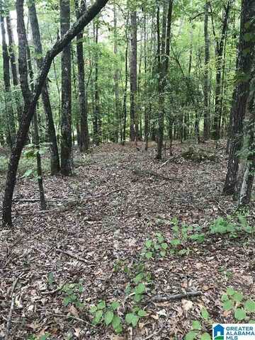 AURORA CIRCLE, ALPINE, AL 35014