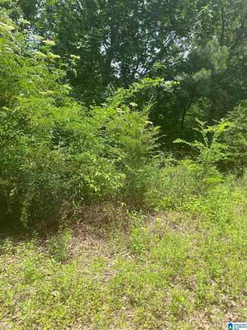 0 JEAN RIDGE LANE, ODENVILLE, AL 35120