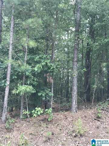 0 HIGHWAY 191, ALPINE, AL 35014