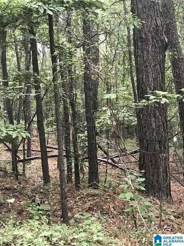 LAKESIDE LANE, ALPINE, AL 35014