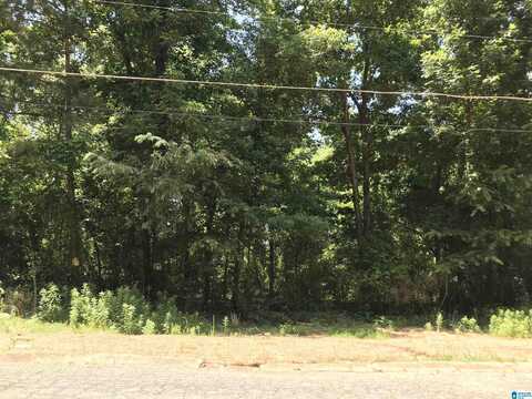 BRYAN STREET, TALLADEGA, AL 35160