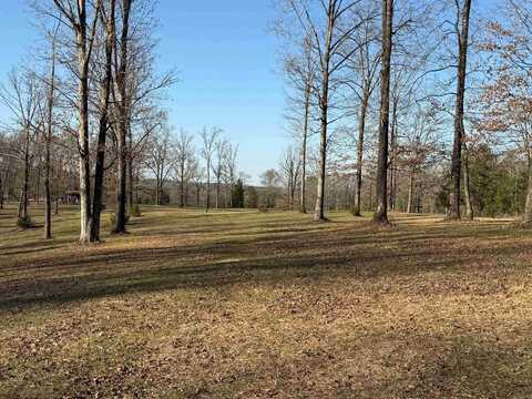 TBD Polk Road 168 LOT #4, Mena, AR 71937