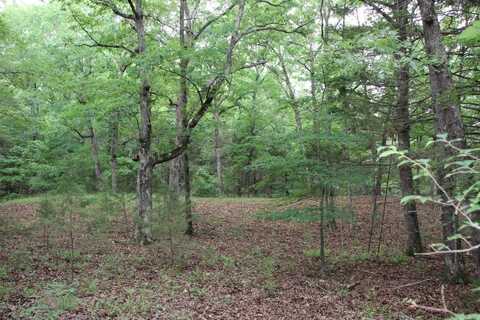 001-05594-000 MC 8012, Yellville, AR 72687