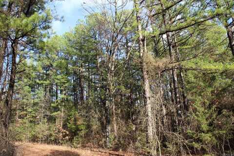 001-04155-000 MC 6011, Yellville, AR 72687