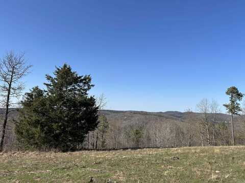 Tract 2 The Blessing 3.47 acres, Mountain View, AR 72560
