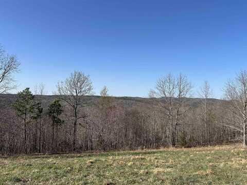 Tract 5 The Blessing 3.22 acres, Mountain View, AR 72560