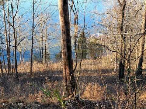 455 Clearwater Drive, Spring City, TN 37381