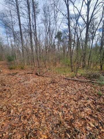 Brown Creek Drive, Crossville, TN 38571