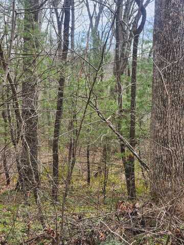 0 Brown Creek Drive, Crossville, TN 38571