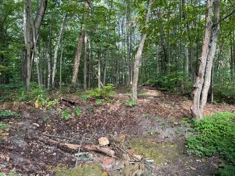 #3 S PERCH LAKE DRIVE, GAYLORD, MI 49735