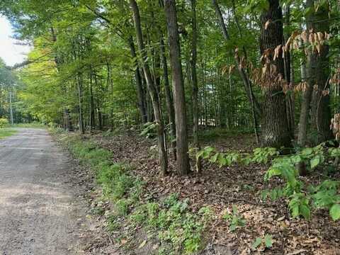 #4 S PERCH LAKE DRIVE, GAYLORD, MI 49735