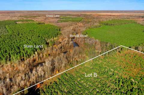 40 ACRES B WALLIN ROAD, THOMPSONVILLE, MI 49683
