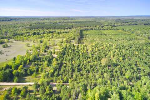 70 ACRES B-C-D WALLIN ROAD, THOMPSONVILLE, MI 49683