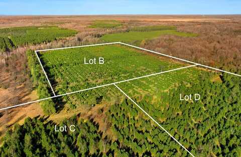 70 ACRES B-C-D WALLIN ROAD, THOMPSONVILLE, MI 49683