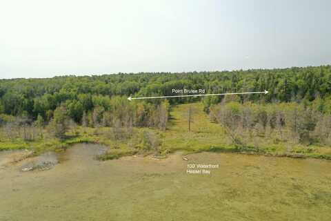 1979 S POINT BRULEE, HESSEL, MI 49745
