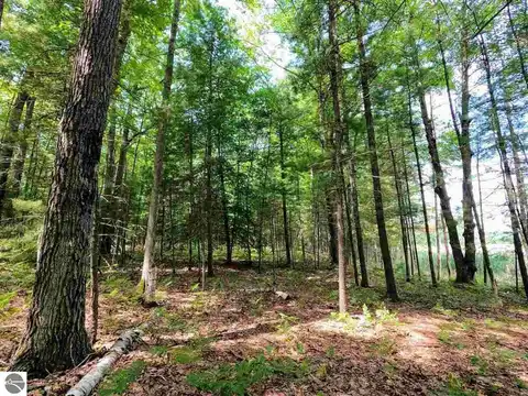 864 SE BLUE HERON DRIVE, KALKASKA, MI 49646