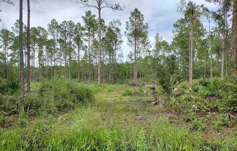 5814 MAHOGANY BOULEVARD, BUNNELL, FL 32110