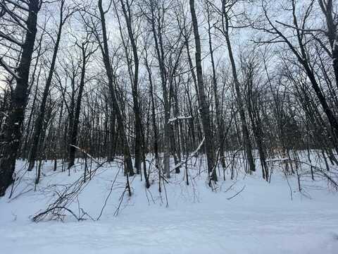 990-994 ARAWAK PASS, GAYLORD, MI 49735