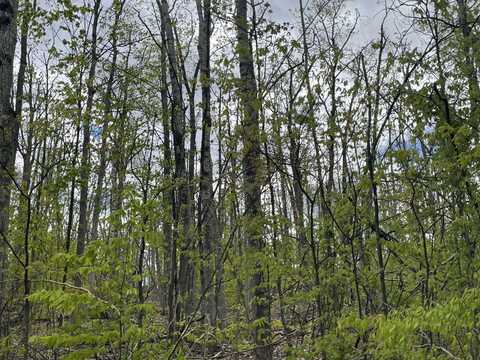 990-994 ARAWAK PASS, GAYLORD, MI 49735