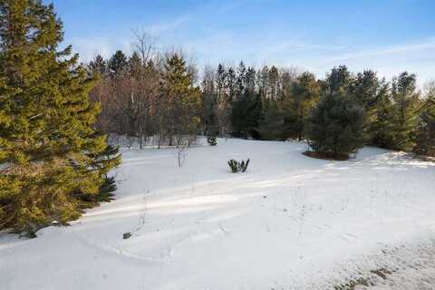 165 PLEASANT VALLEY, HARBOR SPRINGS, MI 49740