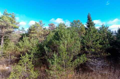N BLACK RIVER ROAD, CHEBOYGAN, MI 49721