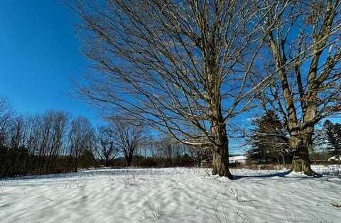 1837 S 200TH AVENUE, HESPERIA, MI 49421
