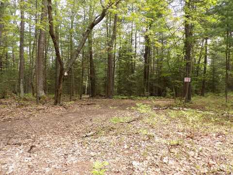 LOT 9 CLUB ROAD, Saint Helen, MI 48656