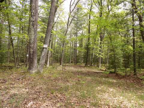 LOT 10 CLUB ROAD, Saint Helen, MI 48656