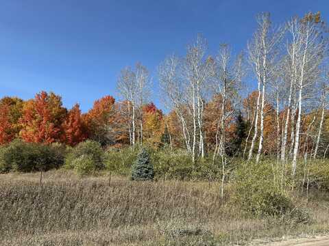 INDIAN TRAIL ROAD, CHEBOYGAN, MI 49721
