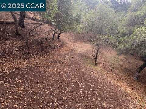 Mountain View Ave, Oakland, CA 94605