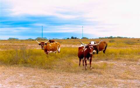 2741 FM 2924, Karnes City, TX 78118