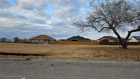0 Wyoming Street, Alice, TX 78332