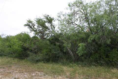 00 Cenesia Dr, Sandia, TX 78383