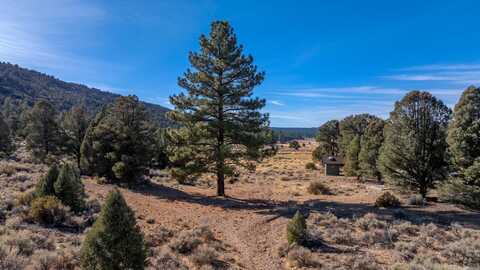 3700 State Lane, Big Bear City, CA 92314