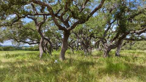 Lot 1 Legacy Hills Dr, Johnson City, TX 78636