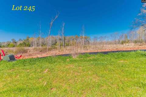 0 Woodside Shores Drive, Prosperity, SC 29127